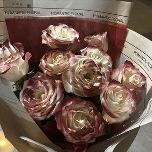 嗯⋯啊⋯在温泉做h爱
